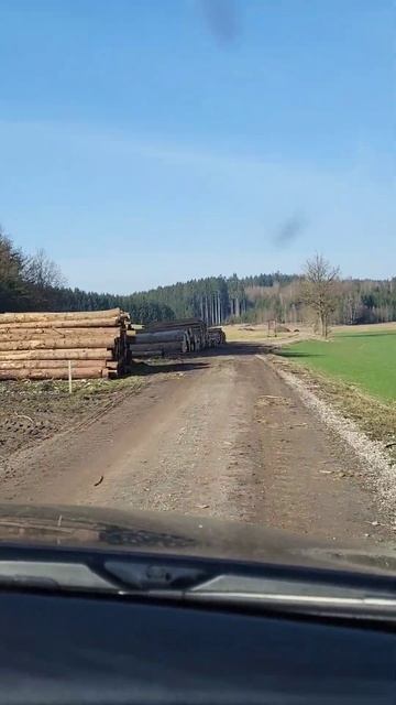 Ура!!!, сезон дров закончен😁, #дрова#лес#wald#holz#kamin смотреть онлайн