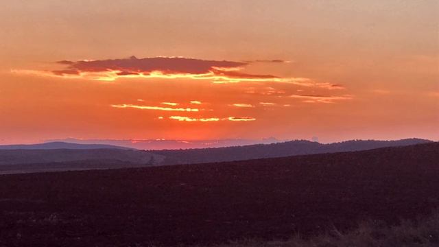 Зора смотреть онлайн