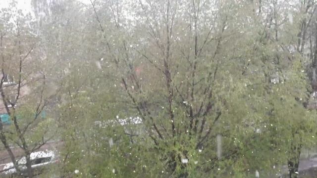 Рассада на подоконнике, снег за окном - 29 апреля 2023 смотреть онлайн