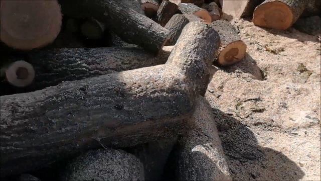 STIHL MS 291 MOTOFIERĂSTRĂU SEMIPROFESIONAL /ПОЛУПРОФЕССИОНАЛЬНАЯ БЕНЗО? смотреть онлайн