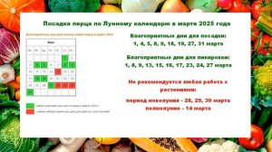 Посадка перца по Лунному календарю весной 2025 года