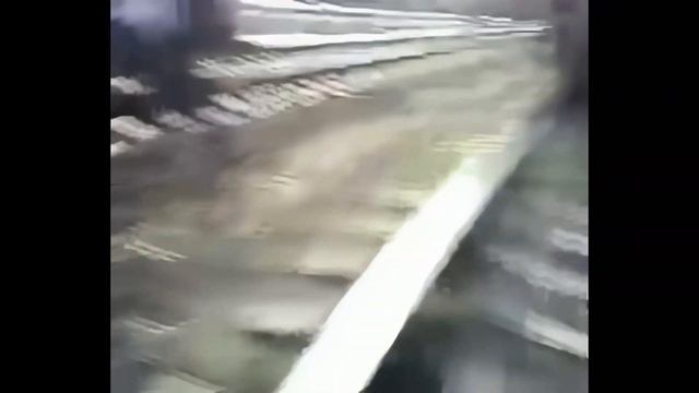 Отдай сало !!! (8К 60FPS UHD)