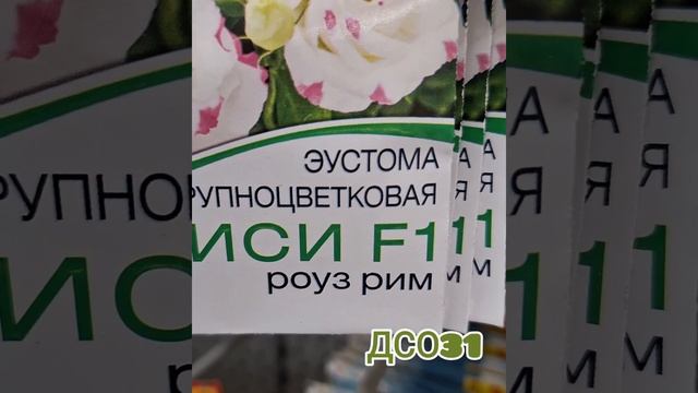 Стоит ли собирать семена с гибридов?