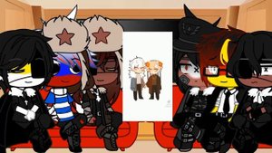 ||Реакция стран на тт||3/30||