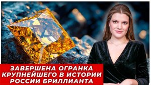 Выгуливать робота-собаку за 100 000 рублей: в России появилась необычная вакансия| РЫТВИНА
