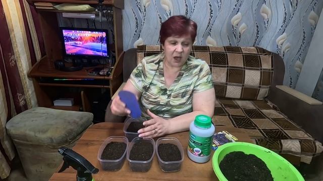 Базилик без хлопот!! Этот способ посева Базилика никог