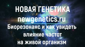Гаряев одобрил. Биорезонанс и как увидеть влияние частот на живой организм. Прибор Ауравид #Аура