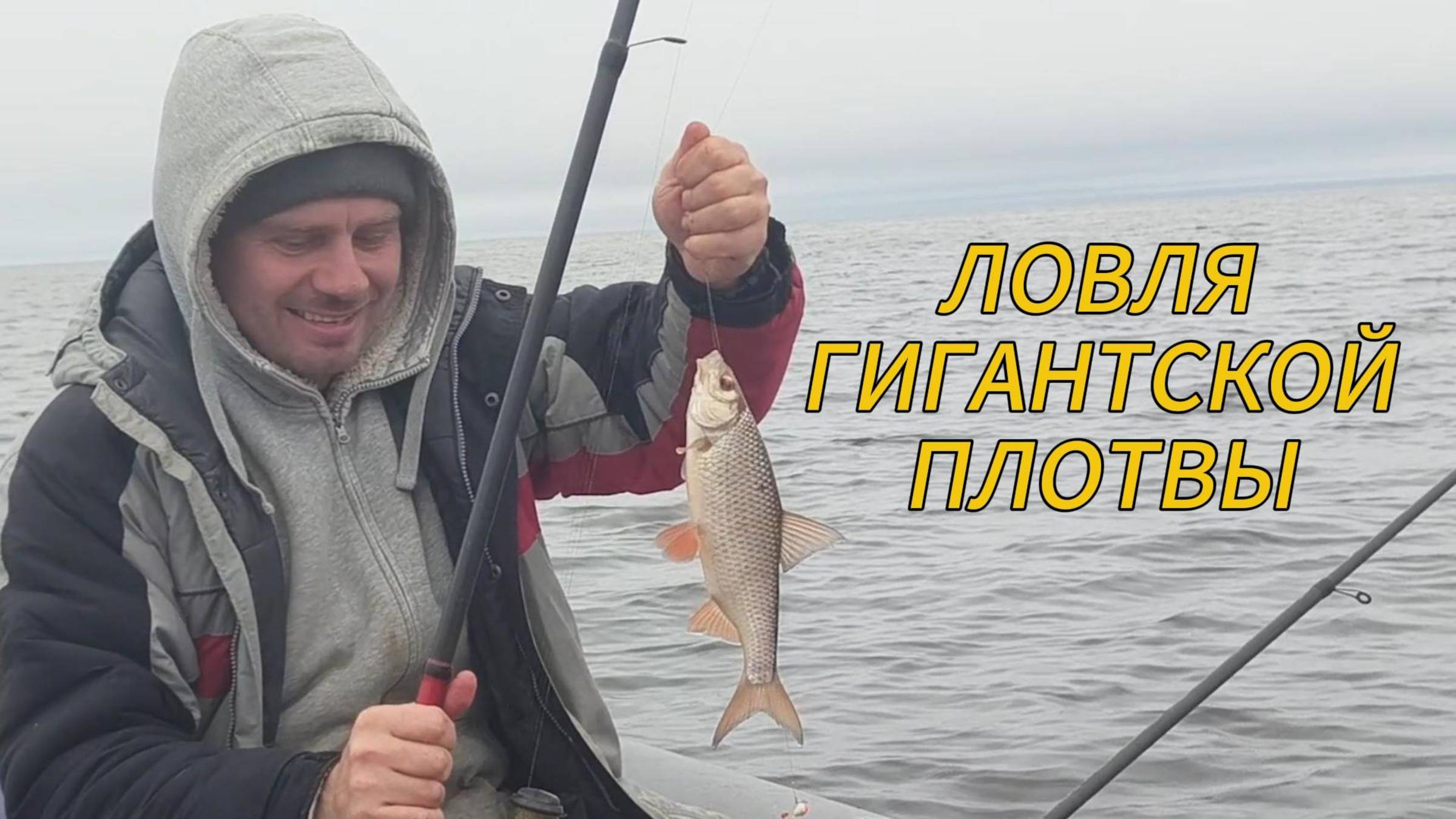 Весенний улов: Ловим плотву и густеру на поплавочную удочку