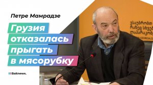 Мамрадзе: Грузия не пошла на поводу у Киева и американцев