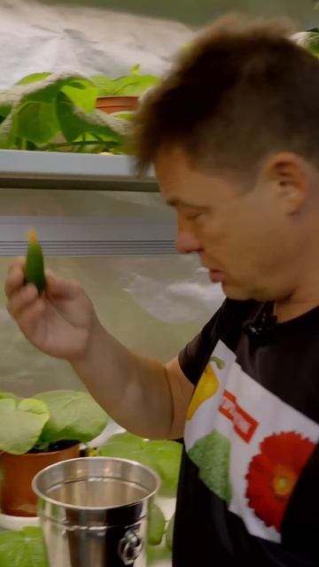 не нужен этот огород на окне