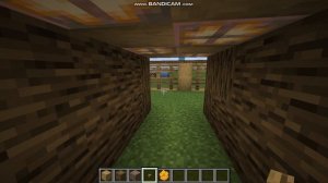 построил свой парк в городе майнкрафт