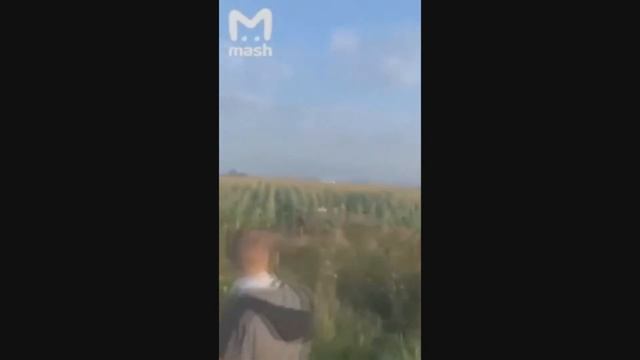Пассажирский самолет сел в поле - в двигатель попали п?