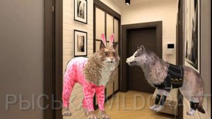 WildCraft: Короче говоря СОСЕДКА (Породия)