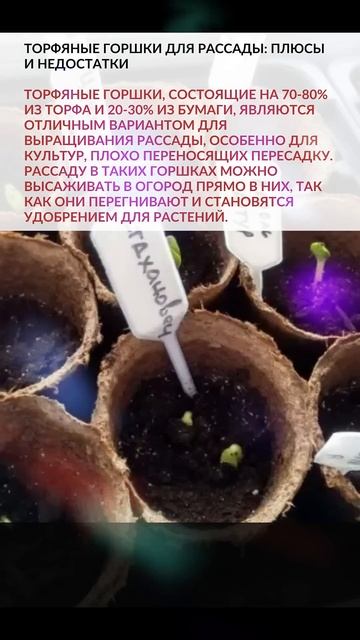 ➔ УЗНАТЬ ПОДРОБНЕЕ... ТОРФЯНЫЕ ГОРШКИ ДЛЯ РАССАДЫ: ПЛЮ?