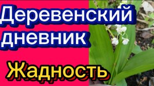 ДЕРЕВЕНСКИЙ ДНЕВНИК. "ЖАДНОСТЬ"