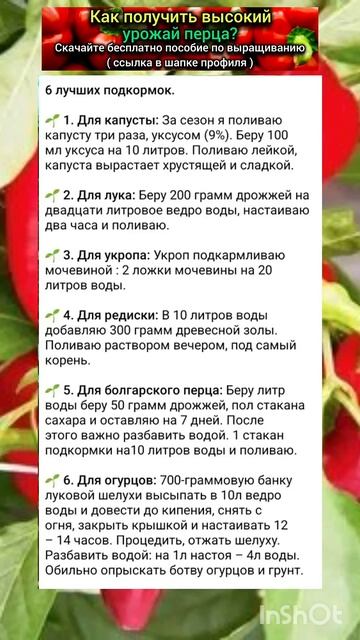 6 лучших подкормок овощных культур для вашего огорода. смотреть онлайн