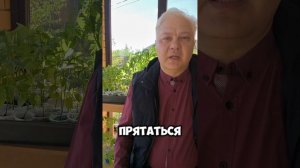 Сними зимнюю шапку