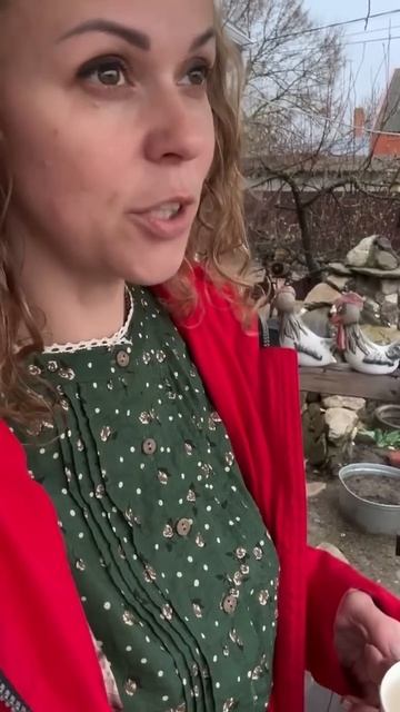 Доброе утро мои родные #garden #gardenlife #огород #дача #shorts