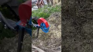 VID-20250506-WA0000.mp4