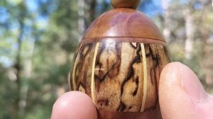 Шкатулка в весеннем лесу на осине с трутовиками