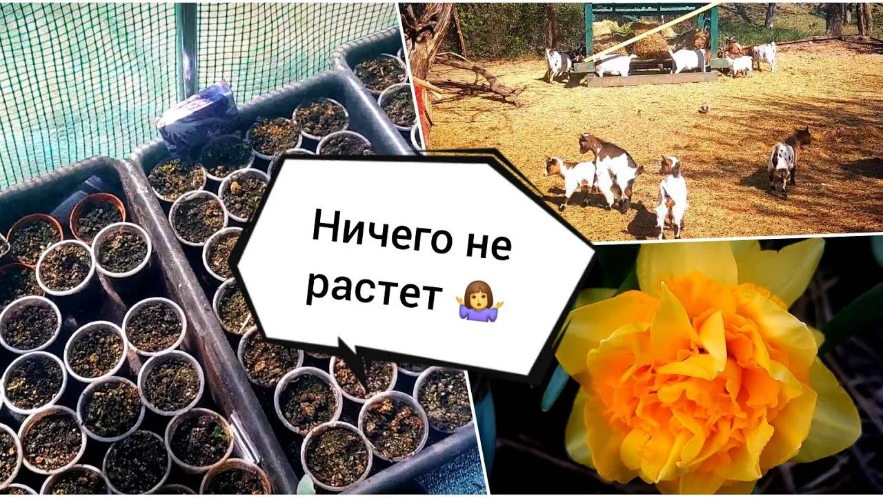 Я 👩 ПОВОВЧУ 😃 не много 😊.