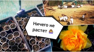 Я 👩 ПОВОВЧУ 😃 не много 😊.