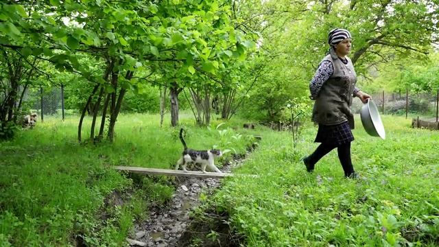 Домашний сироп Сирени.