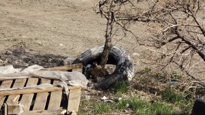 СКВЕР ПРЕВРАТИЛСЯ В СТРОИТЕЛЬНУЮ СВАЛКУ