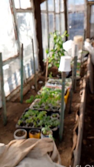 Где-то там в дали, на краю земли.!!! смотреть онлайн