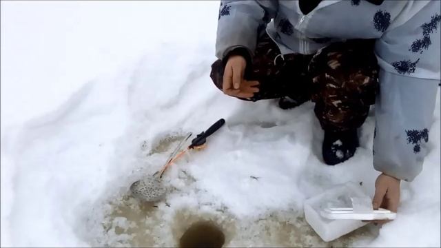 смена наживки