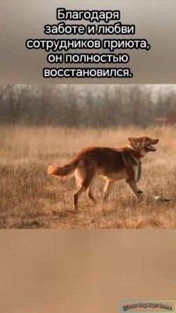 Верю в лучших людей.