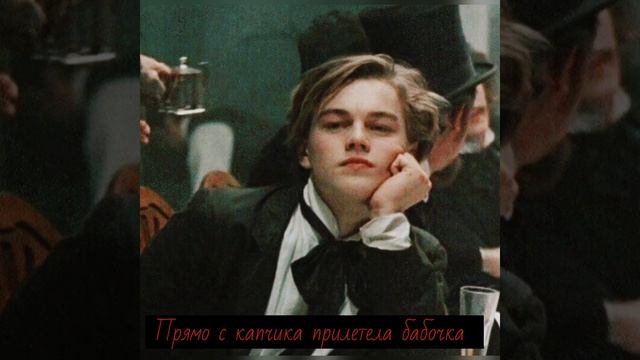 Ирина Кайратовна Папочка текст песни #Ик #shorts смотреть онлайн