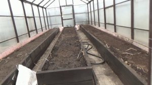 Начинаю высаживать томаты в холодную теплицу. Обзор погоды и огорода 5 мая 2025 года.