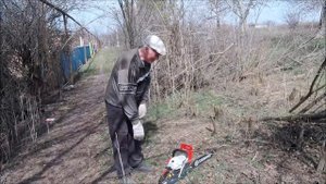 Первый рабочий день на участке Пилю деревья и поросль