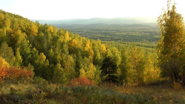 04-never knew Золотая осень.mp4