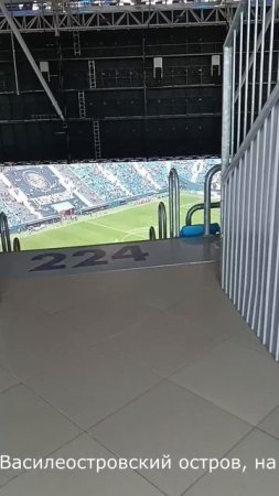 Вид  со стадиона Зенит Арена