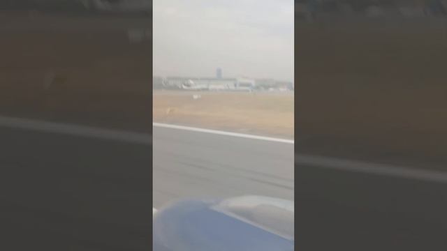 сегодня Внуково Ташкент аэропорт