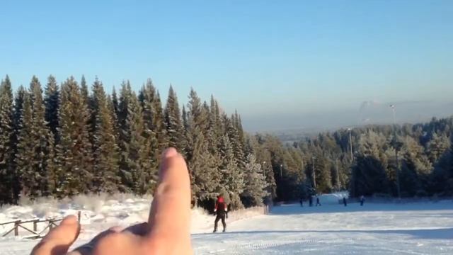 нечкино