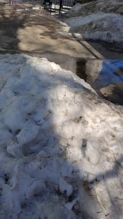 25 марта 2025 г., 15:14:27
Двор П. Осипенко 48
VID_20250325_151333417
