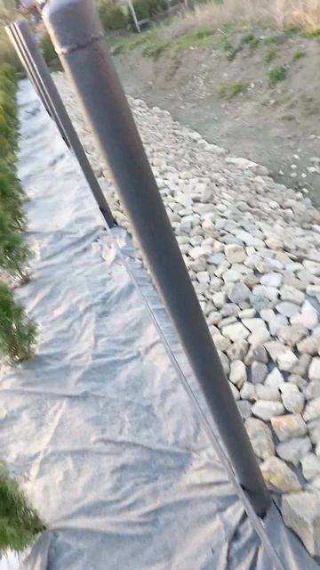 клумба, габионы , камни, благоустройство. смотреть онлайн