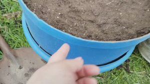 Подготовка тёплой грядки в бочке для огурцов. Выращивание до поздней осени.