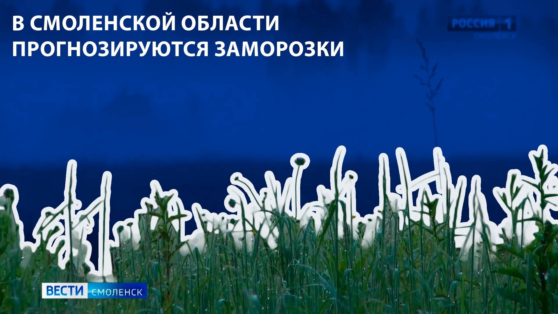 Вести-Смоленск - в Смоленской области прогнозируются заморозки
