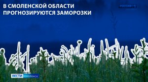 Вести-Смоленск - в Смоленской области прогнозируются заморозки