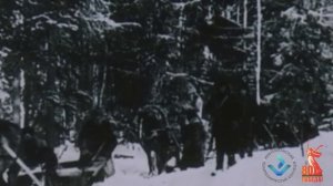 📽️О вкладе физиков во времена Великой Отечественной войны