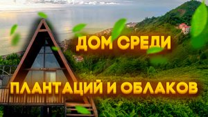 Дом среди плантаций. Спим — как в сказке