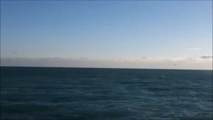 Н.Силонх Посмотрите вокруг сколько радости