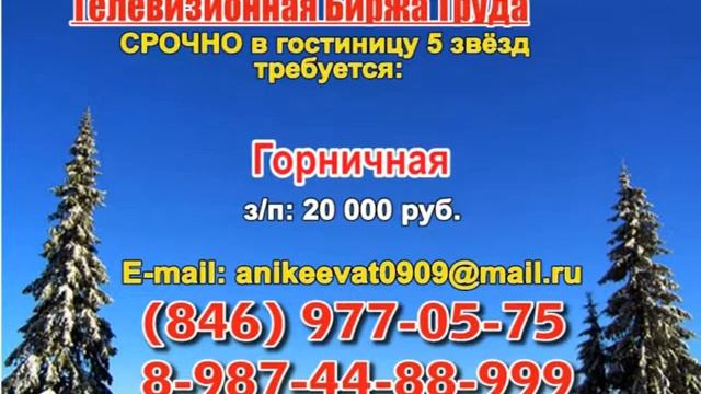 13 февраля _06.20, 12.50_Работа в Самаре_Телевизионная Биржа Труда смотреть онлайн