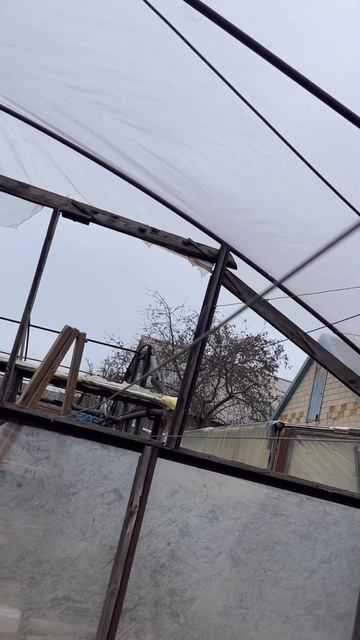 Одна із наших теплиць #землеробство #diy #земля #огород #? смотреть онлайн