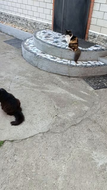 1000002989.mp4
