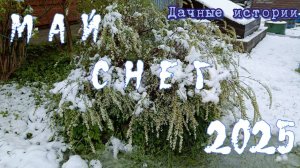 Май Снег Опять 2025 | Дачные истории